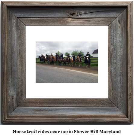 horse trail rides near me in Flower Hill, Maryland